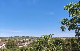 Apartament cu o camera, 40 mp, zona Turda Noua