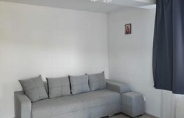 Apartament cu o camera, 40 mp, zona Turda Noua