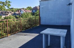 Apartament cu o camera, 40 mp, zona Turda Noua