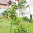 Casa de vânzare 2 camere Central - 205615CV - Poza 1 din 21 | BLITZ Turda | Poza2