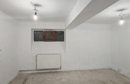 Spatiu comercial, 214 mp, zona Centrala
