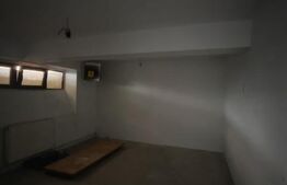 Spatiu comercial, 214 mp, zona Centrala