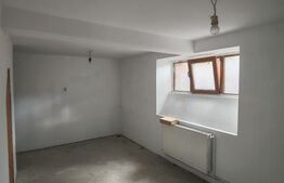 Spatiu comercial, 214 mp, zona Centrala