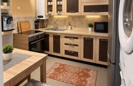 Casa de vanzare, 50 mp, zona Centrala