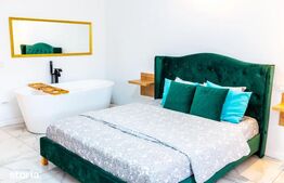 Apartament cu o camera la cheie, 30 mp, zona Micro 3