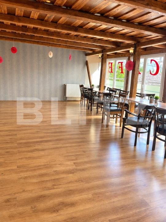 Spațiu comercial de închiriat Sud-Est - 207179SIC | BLITZ Turda | Poza3