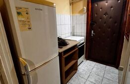 Garsoniera de vanzare, 22 mp, zona Micro II
