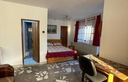 Spatiu de birou/comercial, 100 mp, zona Turda 
