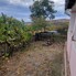 Casa de vânzare 3 camere Boian - 208247CV - Poza 1 din 14 | BLITZ Turda | Poza5