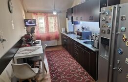 APARTAMENT 3 CAMERE DUMBRAVA NORD