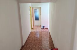 Apartament cu 3 camere Avram Iancu