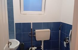 apartament  3 camere Crangului
