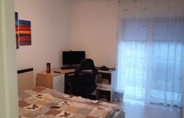 apartament  3 camere Crangului