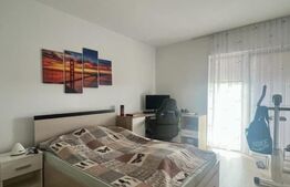 apartament  3 camere Crangului