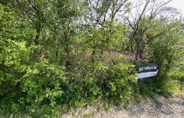 teren zona Episcopiei