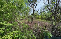 teren zona Episcopiei