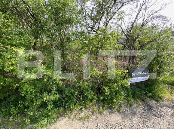 Teren de vânzare Exterior-Sud - 141013TV | BLITZ Zalău | Poza2