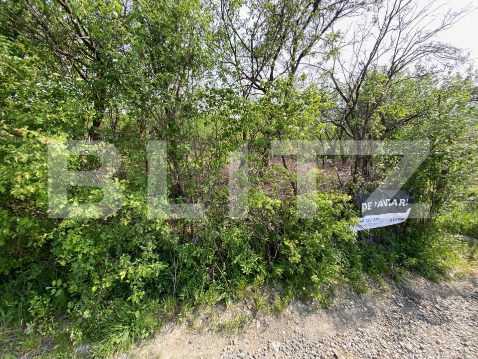 Teren de vânzare Exterior-Sud - 141013TV | BLITZ Zalău | Poza2