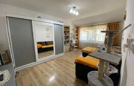 Apartament cu doua camere, bucatarie spatioasa si baie