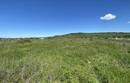 Teren Intravilan zona Industriala