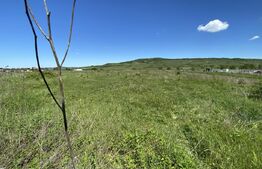 Teren Intravilan zona Industriala