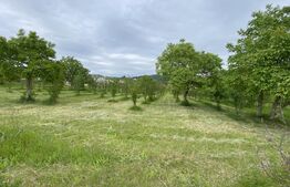 Teren intravilan in Livada Meses cu toate utilitatile