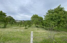 Teren intravilan in Livada Meses cu toate utilitatile