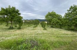 Teren intravilan in Livada Meses cu toate utilitatile