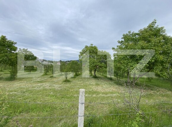 Teren de vânzare Exterior-Vest - 150550TV | BLITZ Zalău | Poza3