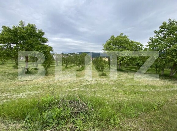 Teren de vânzare Exterior-Vest - 150550TV | BLITZ Zalău | Poza1