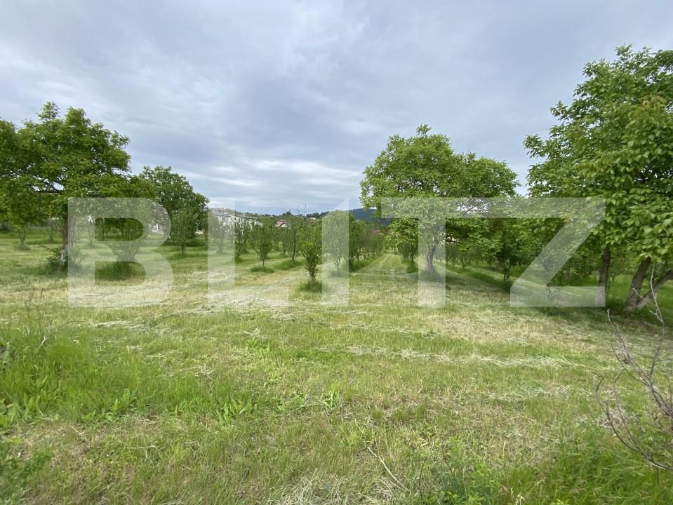 Teren de vânzare Exterior-Vest - 150550TV | BLITZ Zalău | Poza2