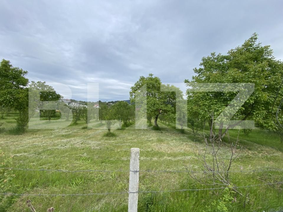 Teren de vânzare Exterior-Vest - 150550TV | BLITZ Zalău | Poza3