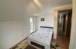 Casa de vanzare 4 camere, in  localitatea Criseni