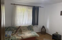 Casa de vanzare 4 camere, in  localitatea Criseni