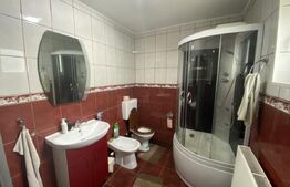 Casa de vanzare 4 camere, in  localitatea Criseni