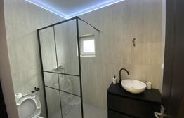 Apartament 1 camera, 32 mp, semidecomandat, zona Bradet