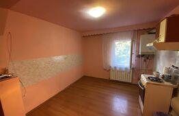 Apartament 2 camere, 50 mp, decomandat, zona Dumbrava