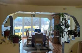 Casă de vacanță D+P+M cu 13 ari de teren