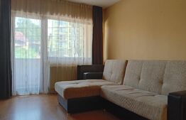 Apartament spațios cu o cameră complet utilat și mobilat