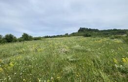 Teren intravilan 1800 mp, zona Sarmas