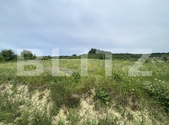 Teren de vânzare Exterior-Est - 153799TV | BLITZ Zalău | Poza1