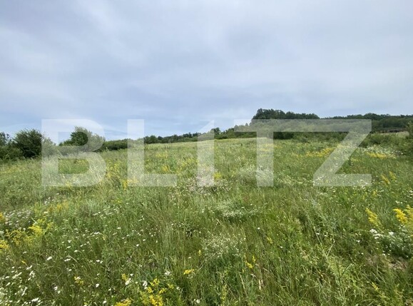 Teren de vânzare Exterior-Est - 153799TV | BLITZ Zalău | Poza3