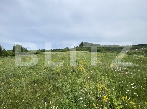 Teren de vânzare Exterior-Est - 153799TV | BLITZ Zalău | Poza2
