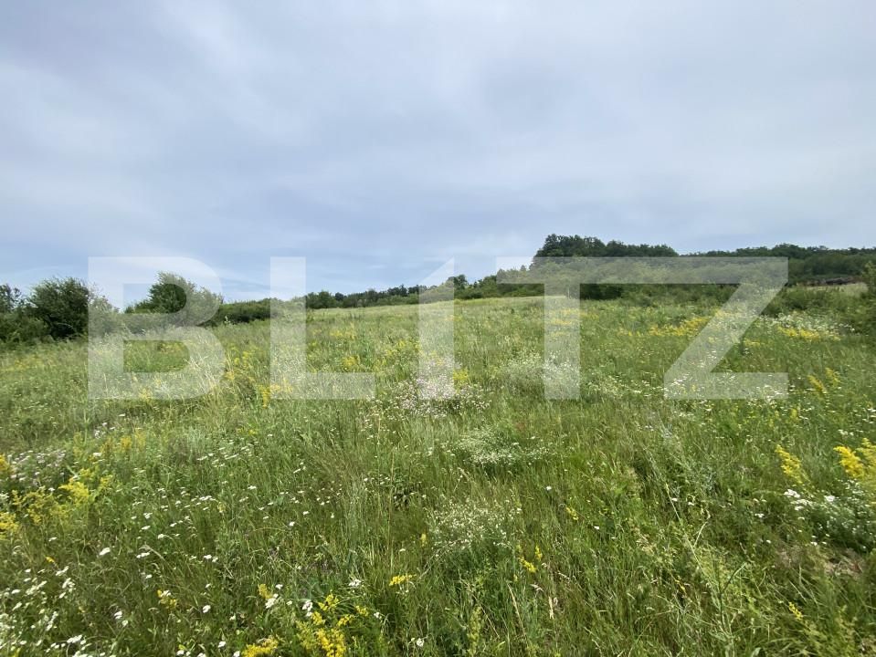 Teren de vânzare Exterior-Est - 153799TV | BLITZ Zalău | Poza3