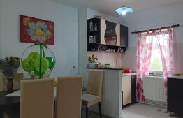 Apartament la mansardă cu scară interioară