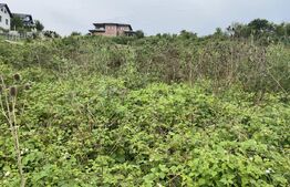 Teren intravilan 500 mp, zona Crangului