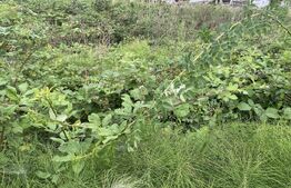 Teren intravilan 500 mp, zona Crangului