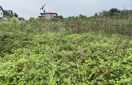 Teren intravilan 500 mp, zona Crangului