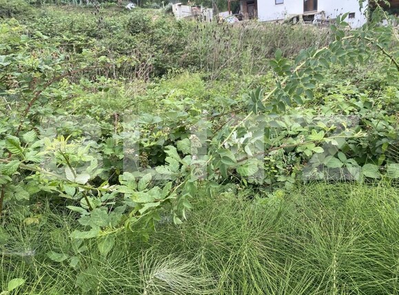 Teren de vânzare Exterior-Est - 153846TV | BLITZ Zalău | Poza3