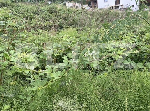 Teren de vânzare Exterior-Est - 153846TV | BLITZ Zalău | Poza4